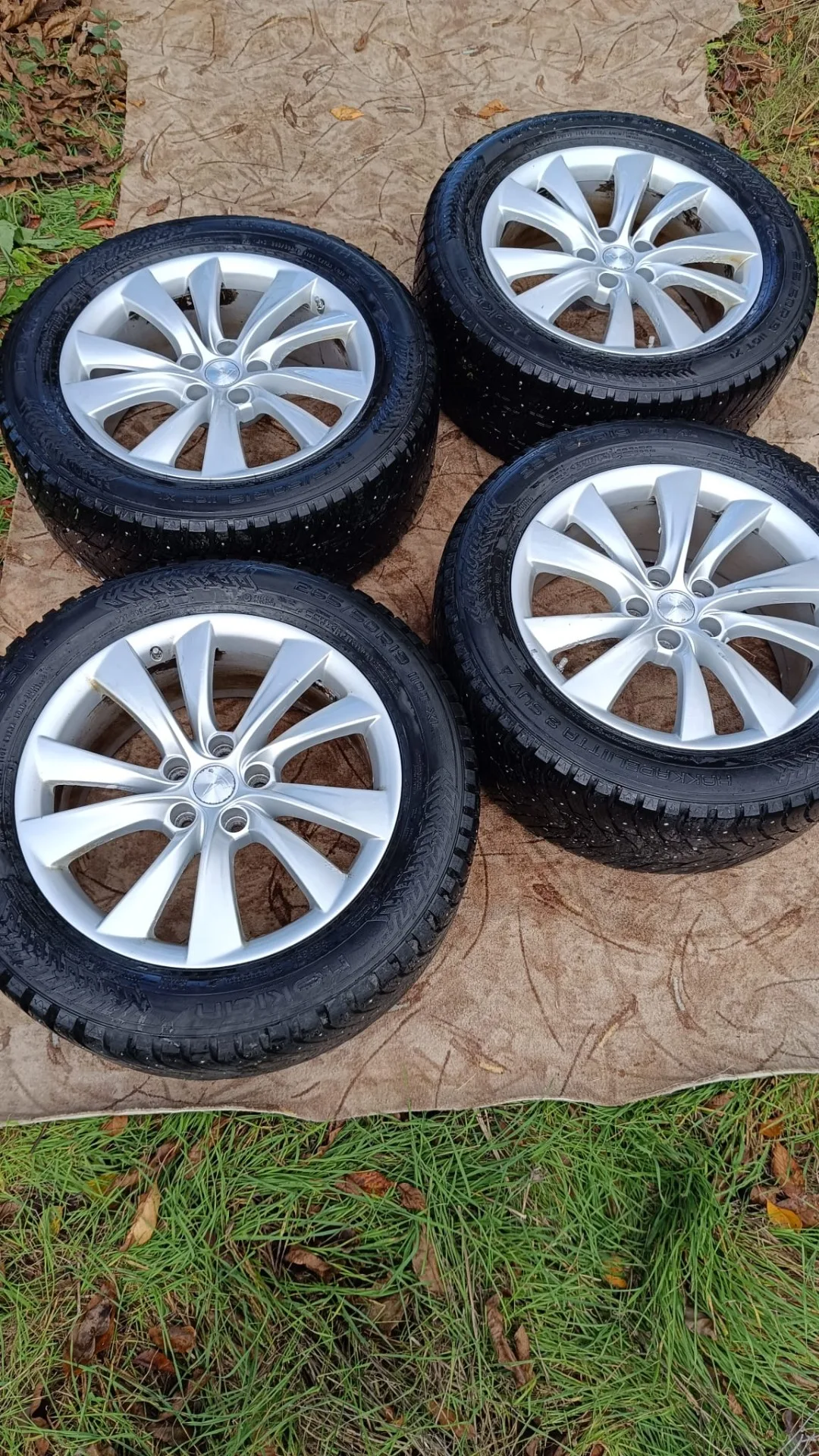 Alu kola 19″